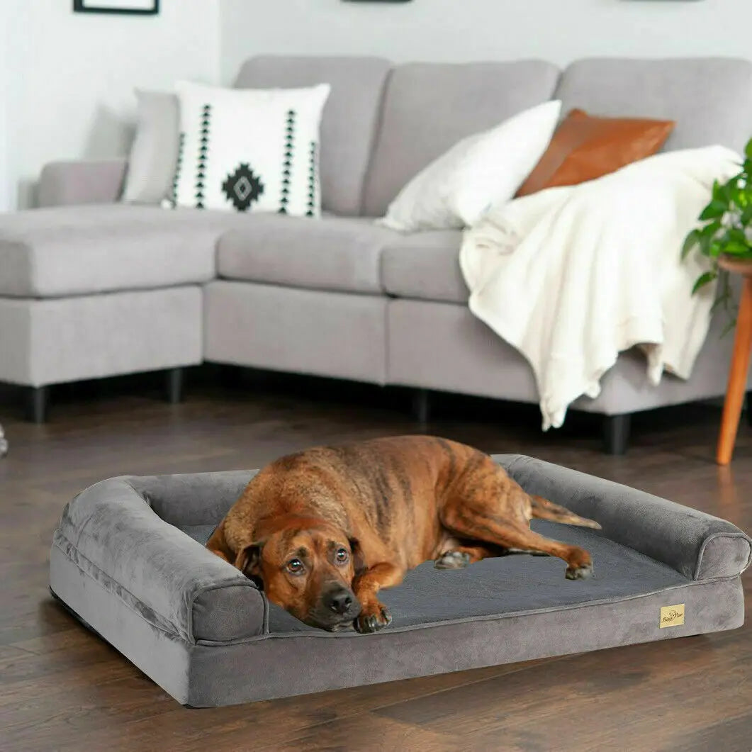 Large Orthopedic Dog Bed
